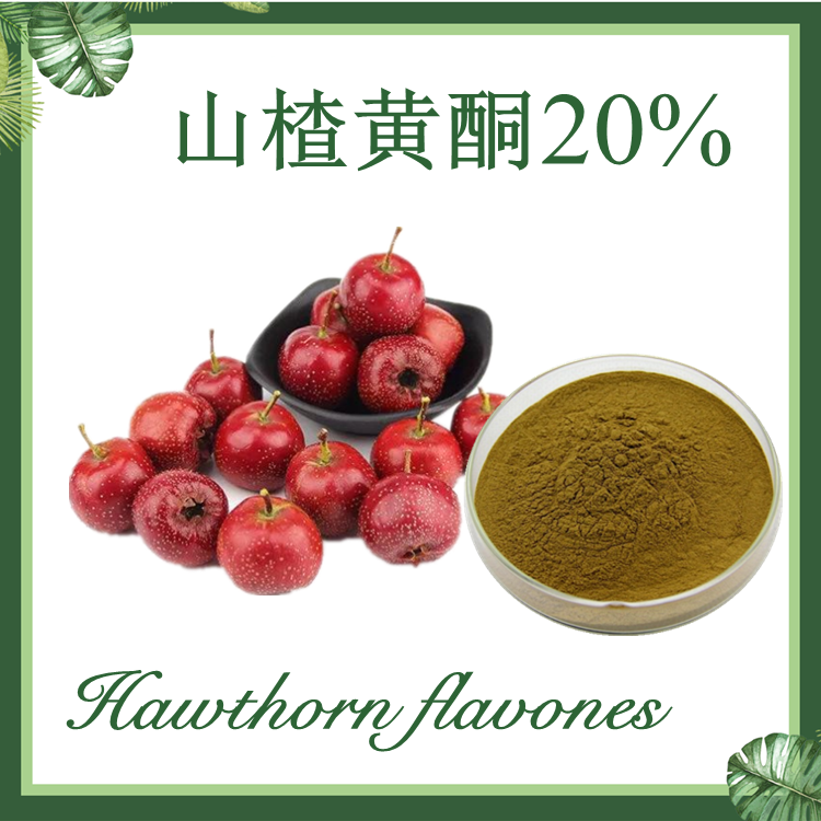 山楂黄酮20%  山楂提取物  山楂叶黄酮20%