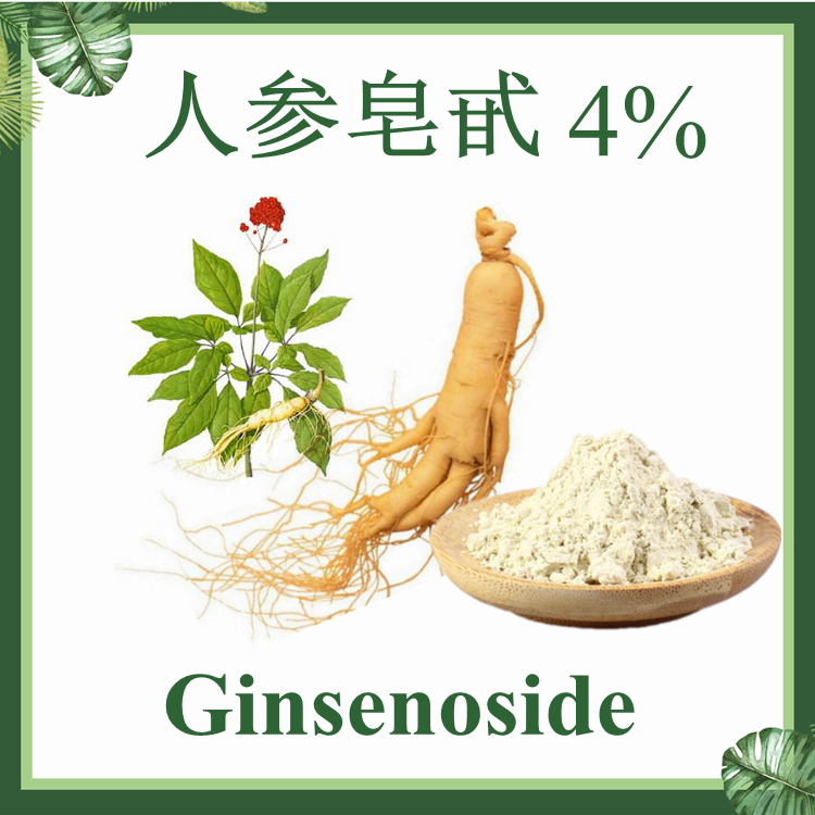 人参皂甙4% 人参提取物 人参总皂甙 人参皂苷 现货供应