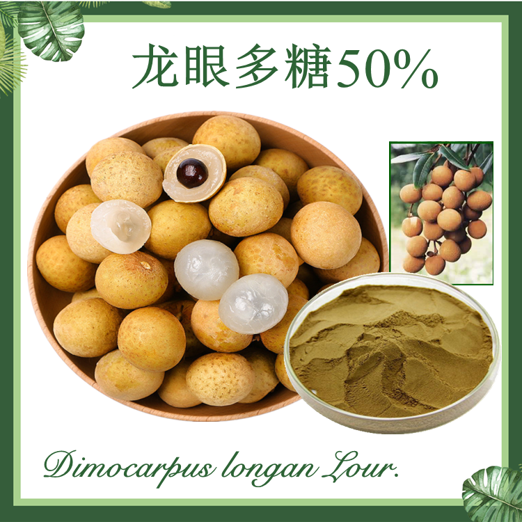 供应：龙眼多糖50% 龙眼提取物 桂圆多糖
