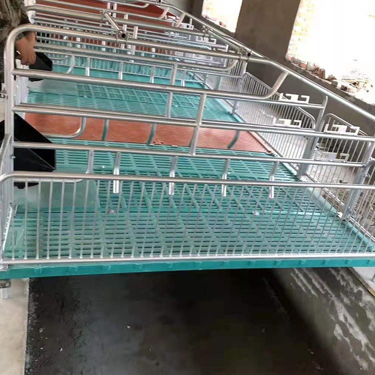 按需供应 仔猪全复合保育床 仔猪保育床 匠心工艺 保育床