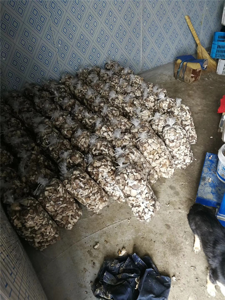 建造蘑菇保鲜库 安装超市冷库 小型冷冻库价格