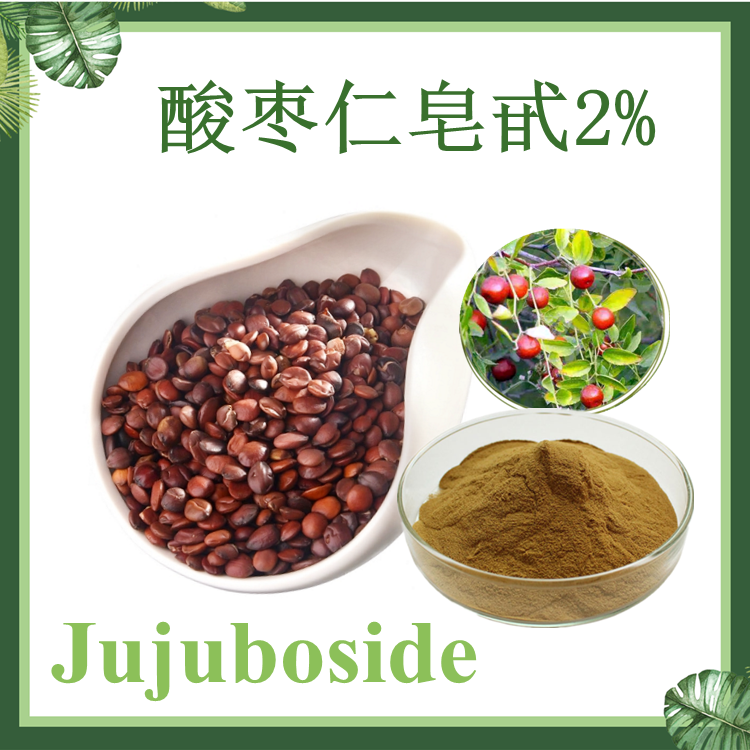 【慈缘生物】酸枣仁皂甙2% 酸枣仁提取物 酸枣仁皂苷