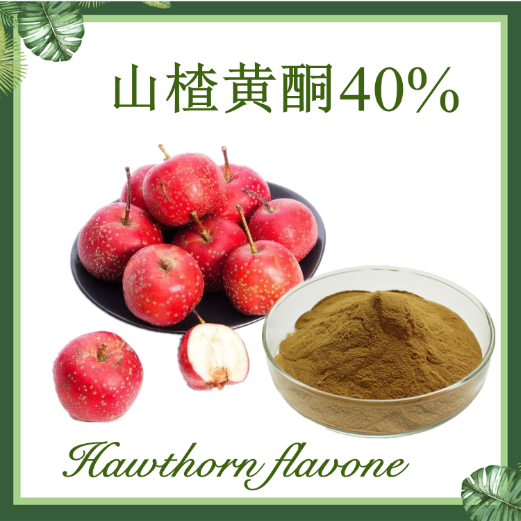 现货供应  山楂黄酮20% 40% 山楂提取物