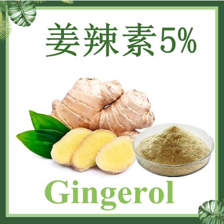 姜辣素5% 20%  生姜提取物 现货供应