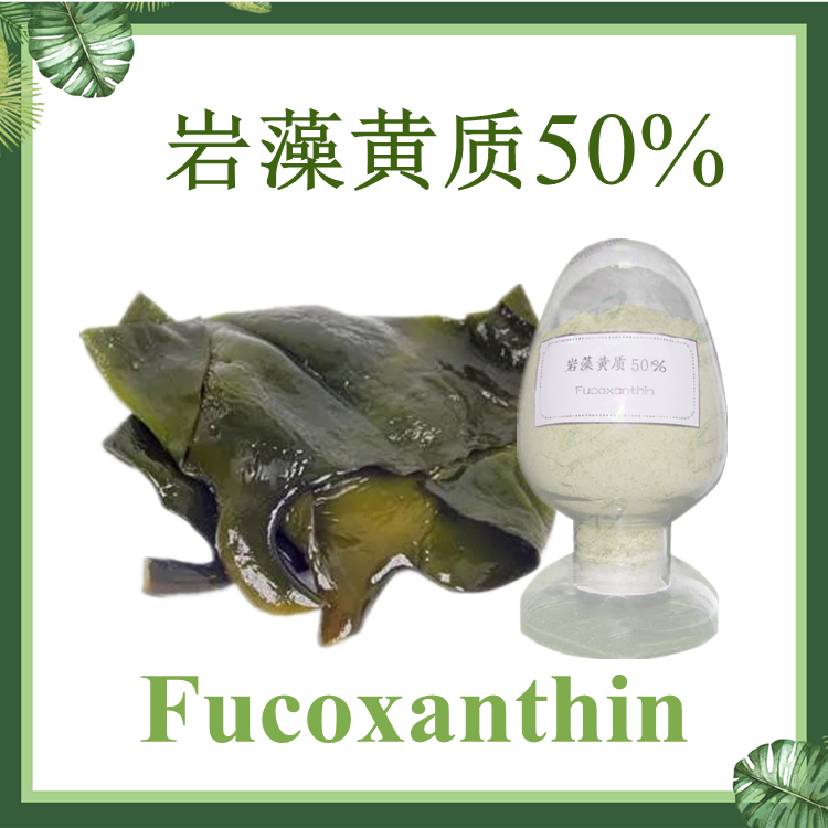 【慈缘生物】岩藻黄质 50% 褐藻提取物