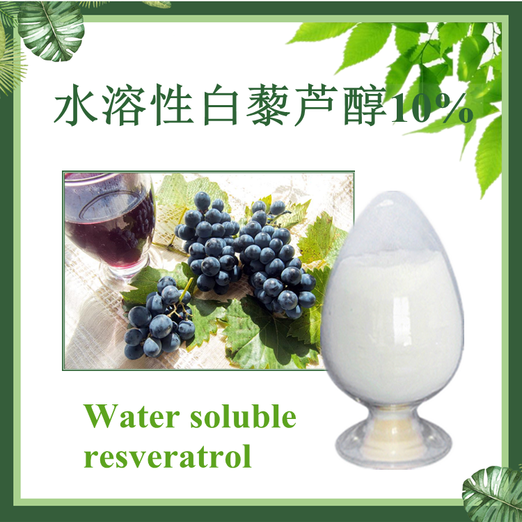 水溶性白藜芦醇10% 现货供应  100g/袋