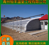 恒丰   C型钢双模骨架大棚  日光温室蔬菜大棚骨架  日光种植大棚