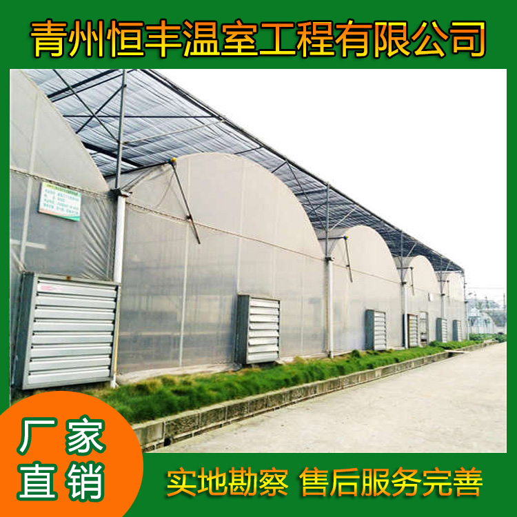 双拱双膜温室大棚   智能薄膜温室大棚  花卉种植薄膜温室大棚  恒丰温室大棚  