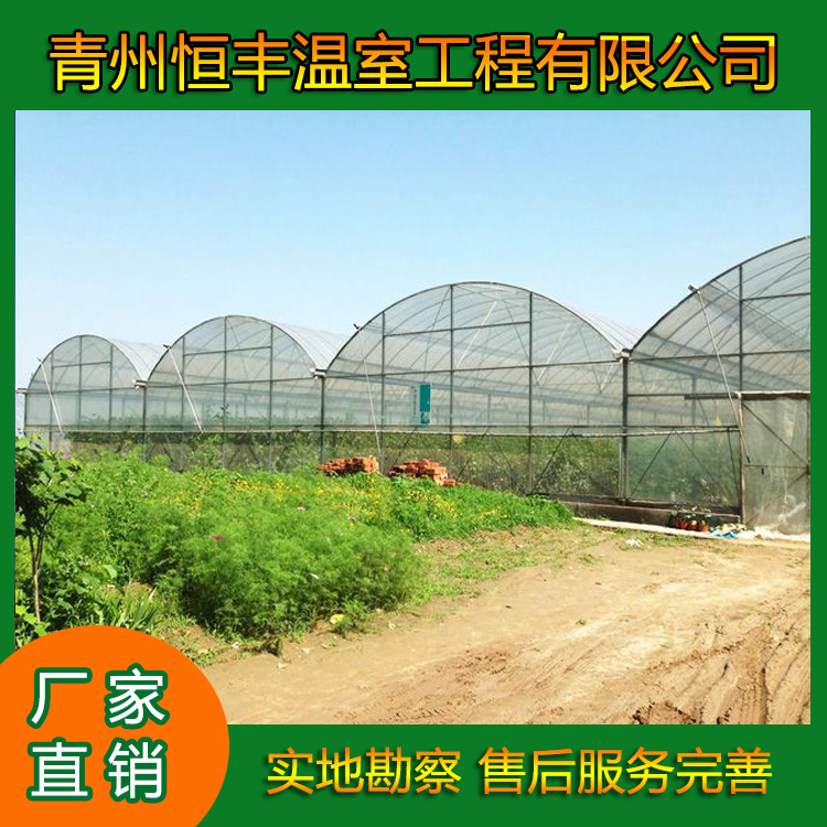花卉薄膜温室大棚施工方案 连栋薄膜温室大棚 育苗薄膜大棚  恒丰温室大棚  