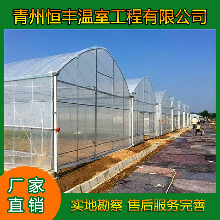   四周玻璃顶部薄膜温室  薄膜连栋温室大棚  双层充气膜 保温效果好  恒丰温室大棚  