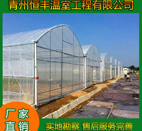 恒丰  坚固耐用的连栋薄膜温室 采光性好   达60%-70%