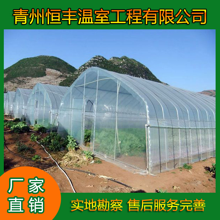 单拱薄膜温室造价 山东保温单拱薄膜温室大棚 单拱薄膜温室大棚供应商   恒丰温室