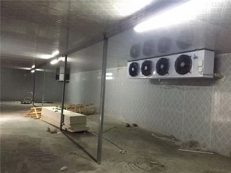 蔬菜保鲜库安装 农产品冷藏库定做 农业补贴冷库建造