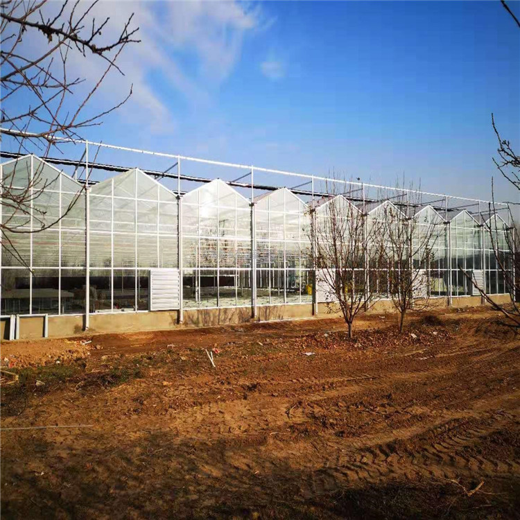 花卉玻璃温室种植 新型玻璃温室大棚 量身定制 蔬菜玻璃大棚