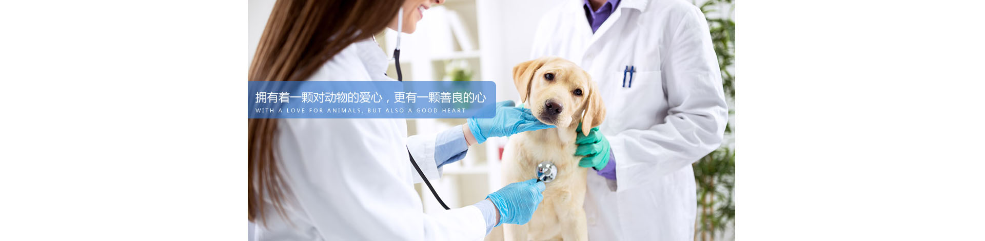 新乡市华生维克生物科技有限公司 主营产品