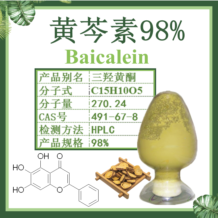 慈缘生物 黄芩素98%  黄芩提取物 CAS号491-67-8 慈缘生物 黄芩抗病毒 98% 厂家直销 动物生产专用