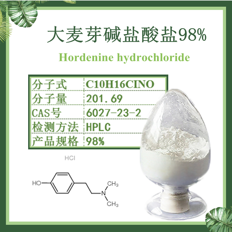 大麦芽碱盐酸盐98% Hordenine hydrochloride 大麦芽提取物