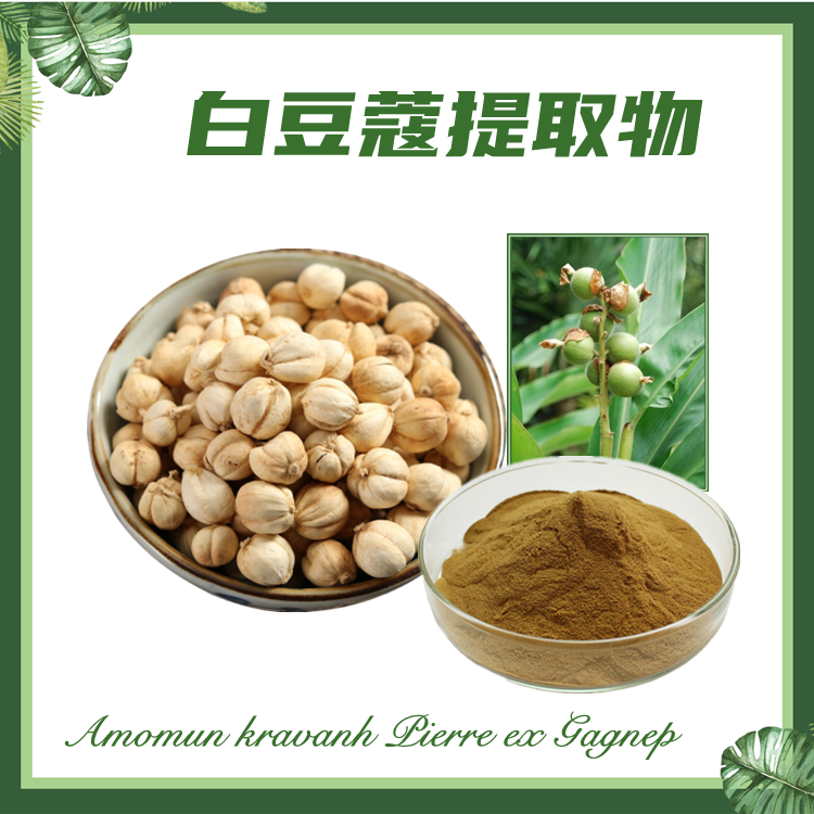 白豆蔻提取物 10:1 白蔻提取物 百叩提取物