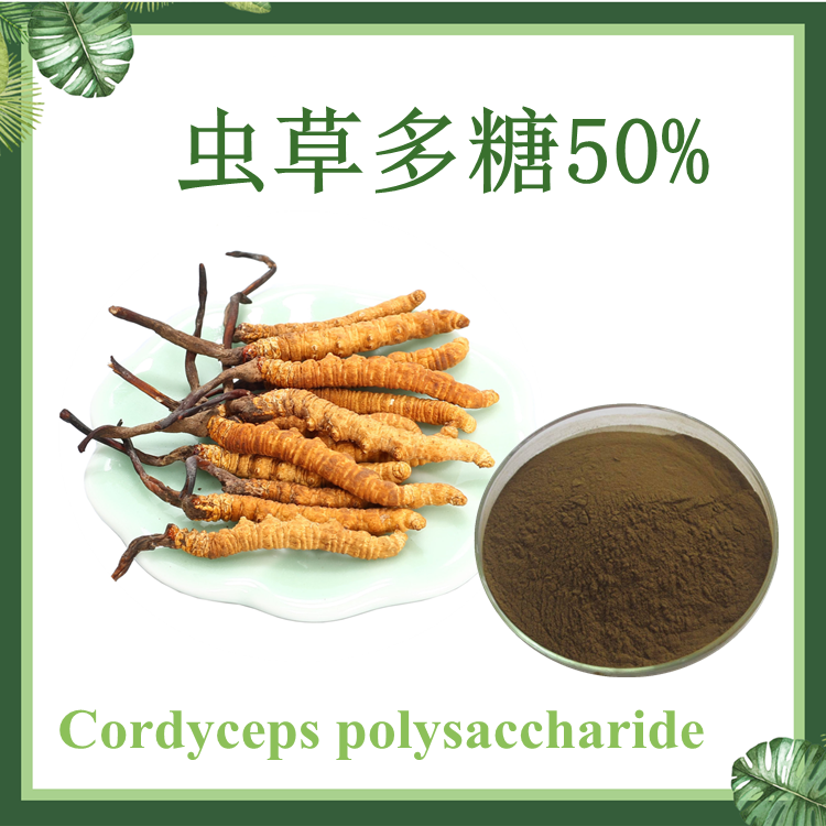 虫草多糖 50% 虫草菌丝体多糖 现货供应