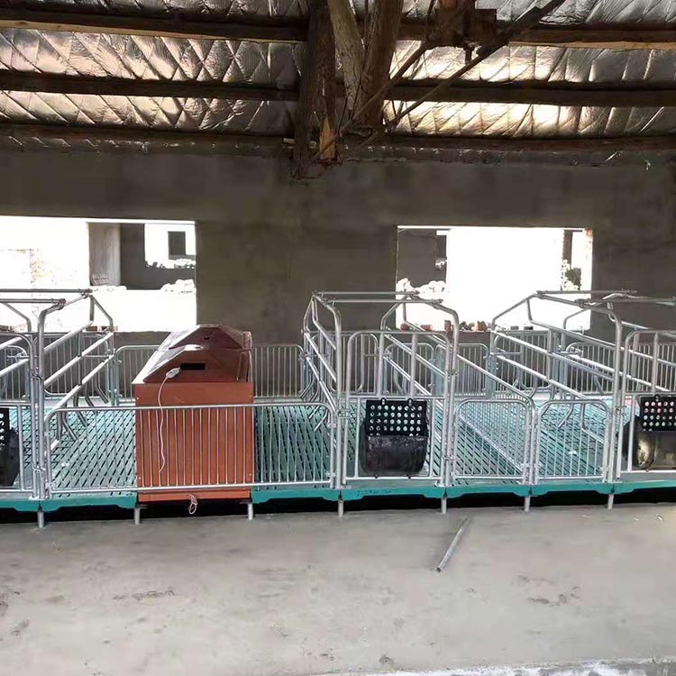 出售 新型母猪产床 双体母猪产床 优良选材 产保一体母猪产床 型号多样