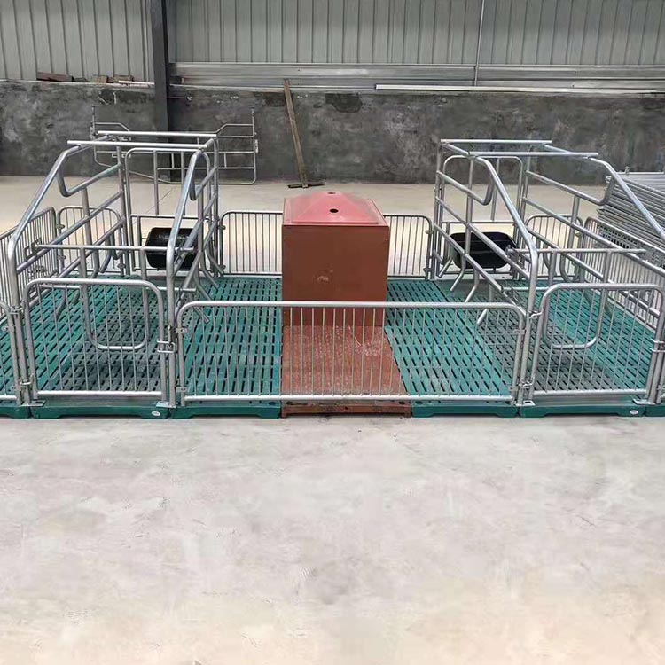 定制 猪产床 热镀锌双体产床 支持定制 复合产保一体产床 按时发货