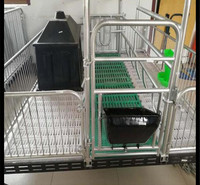  母猪定位栏 限位栏 养猪设备 厂家直销
