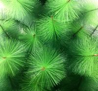 雪碧瓶废旧利用 PET圣诞树松针拉丝机 青岛海沛斯出品 仿真植被丝拉丝机