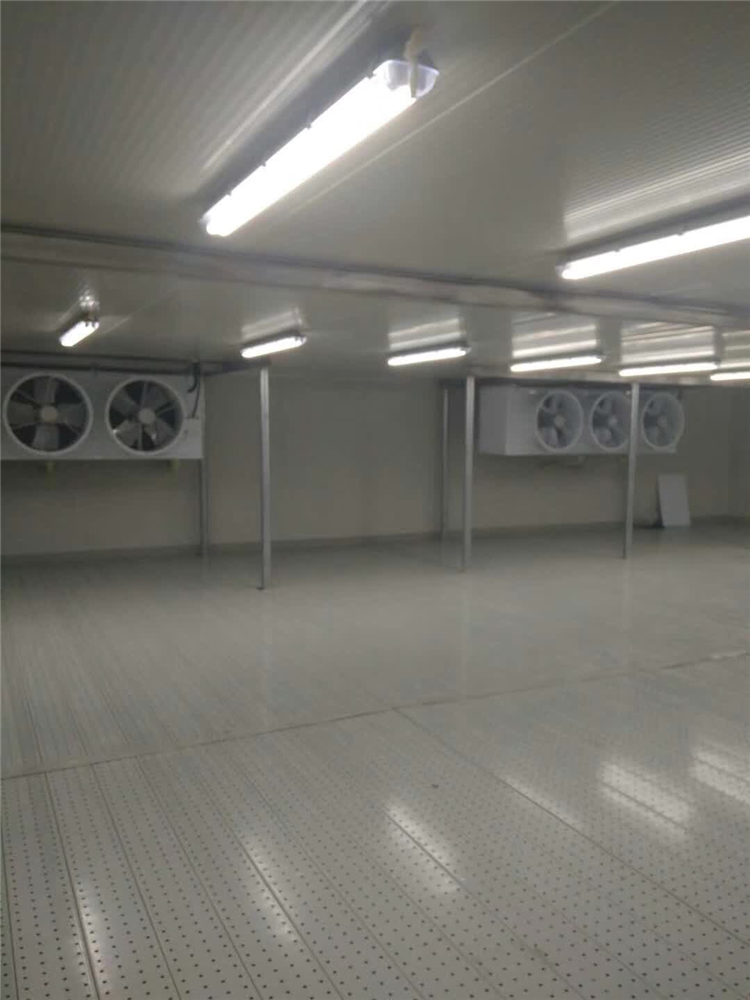 冷库制造厂家 孜润制冷 建造生产冷库
