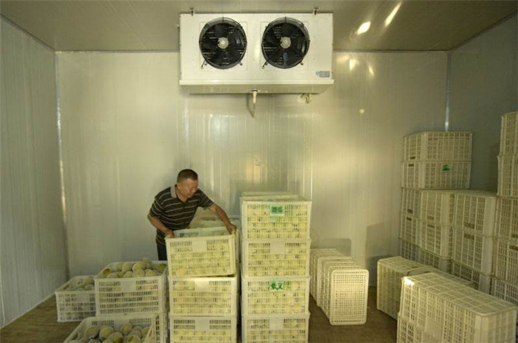 果蔬保鲜冷库 建造厂家 孜润制冷 建造订制冷库