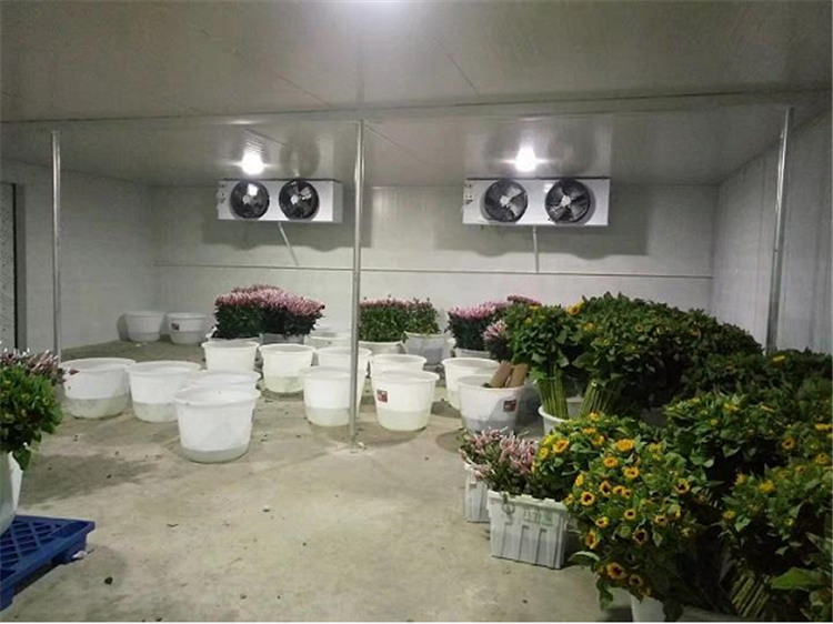 供应各种温度{保鲜冷库} 气调冷藏库 高效保鲜 智能控制 