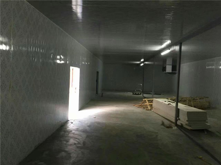 果蔬保鲜库厂家 果蔬冷库建造安装 大型保鲜冷库建造价格