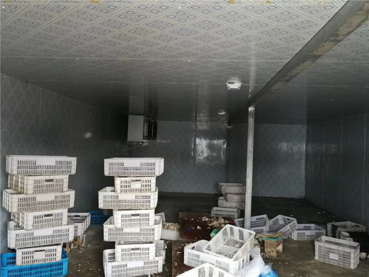 平菇保鲜库建造 平菇种植温室设计 蘑菇冷藏库安装