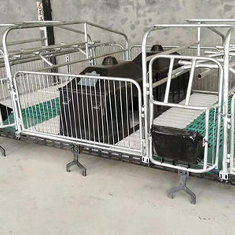 加工定制 复合板分娩床 欧式母猪产床 价格合理 复合型双体母猪产床 匠心工艺