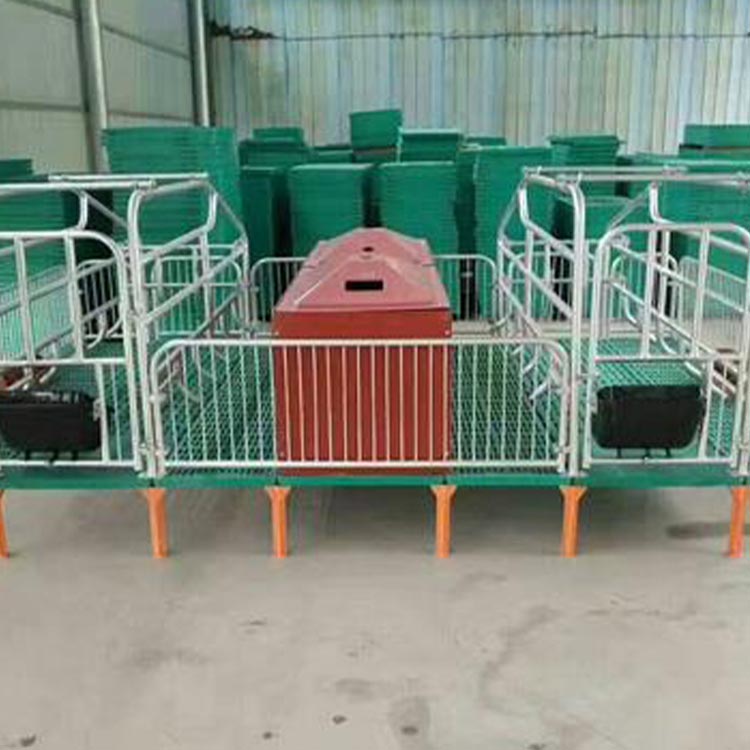 加工定制 热镀锌双体产床 新式产床 欢迎来电详询 双体母猪分娩床 型号多样