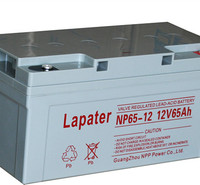NPP耐普蓄电池 NP12-65 12V65AH铅酸免维护UPS电源蓄电池电信医疗设备太阳能路灯电力
