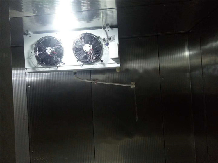 冷藏集装箱冷库 微型冷藏冷库 定做各种尺寸的冷库