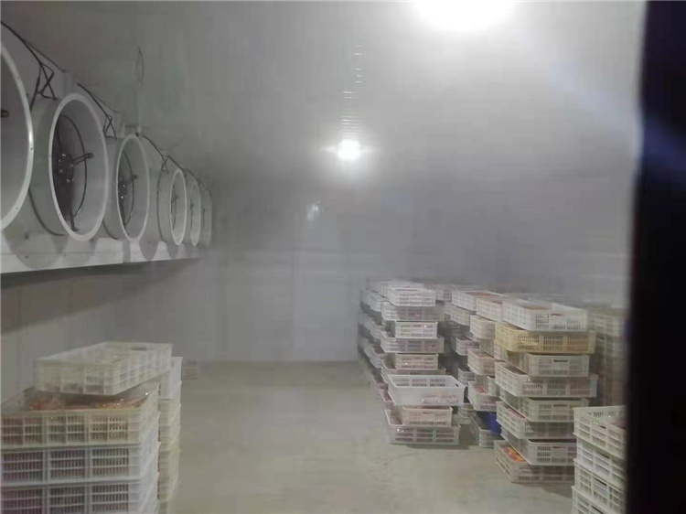 食品速冻冷库厂 速冻肉冷库价格 低温冷库专业制造