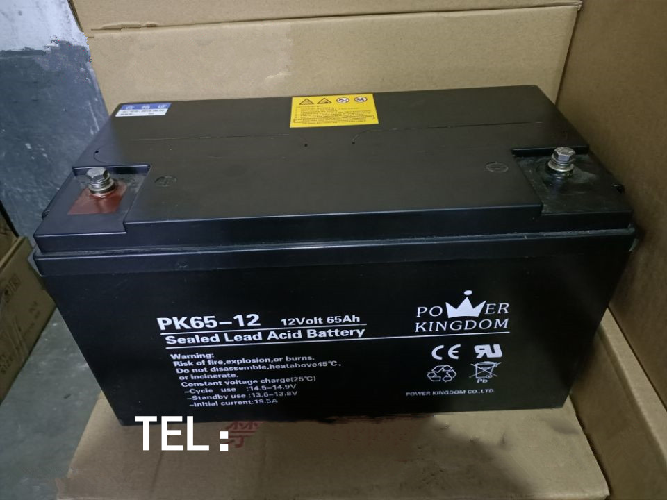 POERKINGDOM三力蓄电池PK65-12 12V65AH 太阳能 通讯UPS应急备用电源