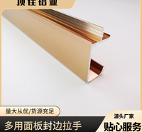广州 隐形面板把手 氧化五金把手定制 顶佳铝业 量大从优