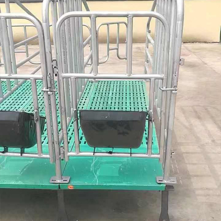 母猪产床限位栏 定位栏 母猪定位栏 按时发货 可加工定制
