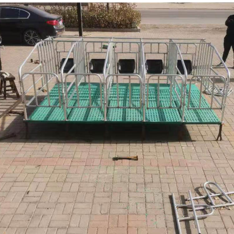 产床定位栏 母猪限位栏 落地式定位栏 长期出售