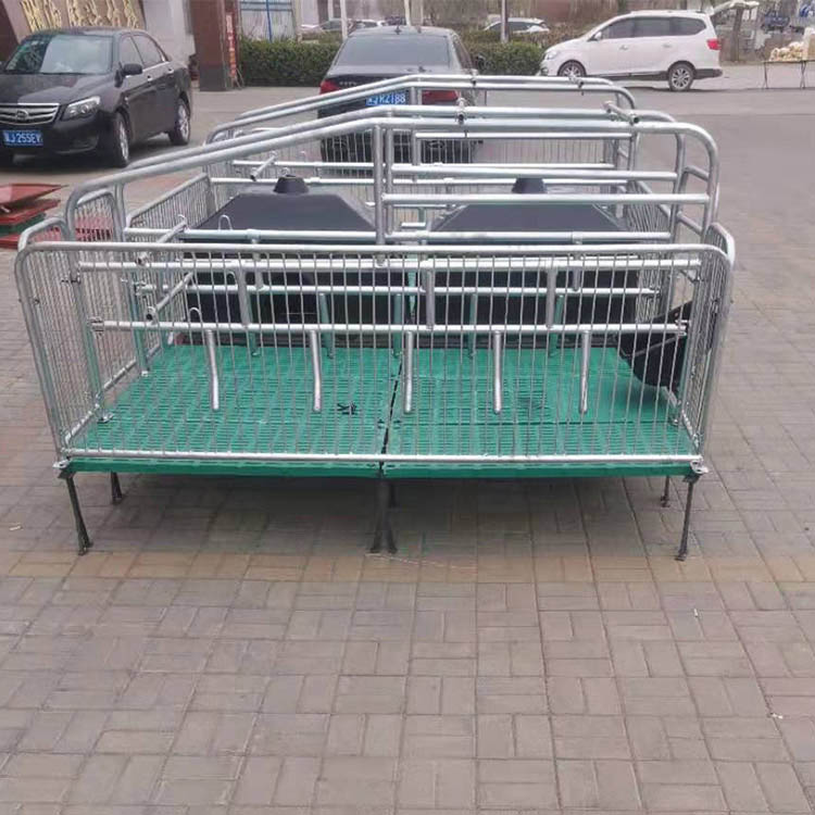 双体母猪分娩床 复合母猪产床 双体母猪产床 养猪设备 