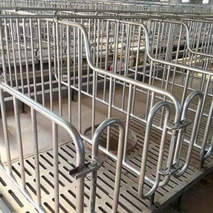 定位栏大猪用母猪定位栏加厚母猪限位栏加大定位栏