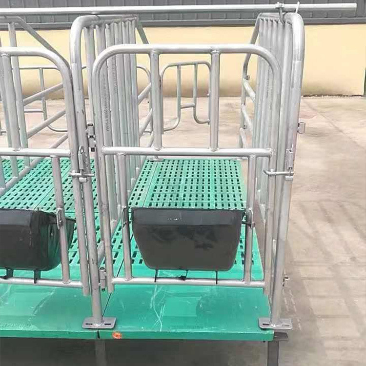 母猪限位栏 猪用定位栏 限位栏 猪场养猪定位栏