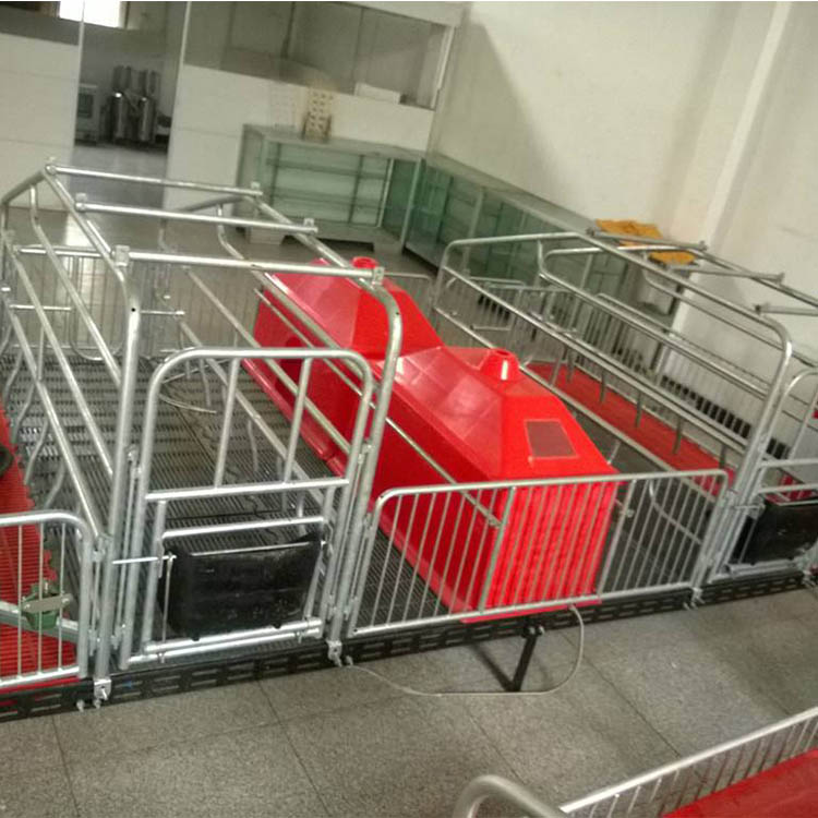 猪用产保一体床 养猪设备产床 猪用双体母猪产 养猪设备 