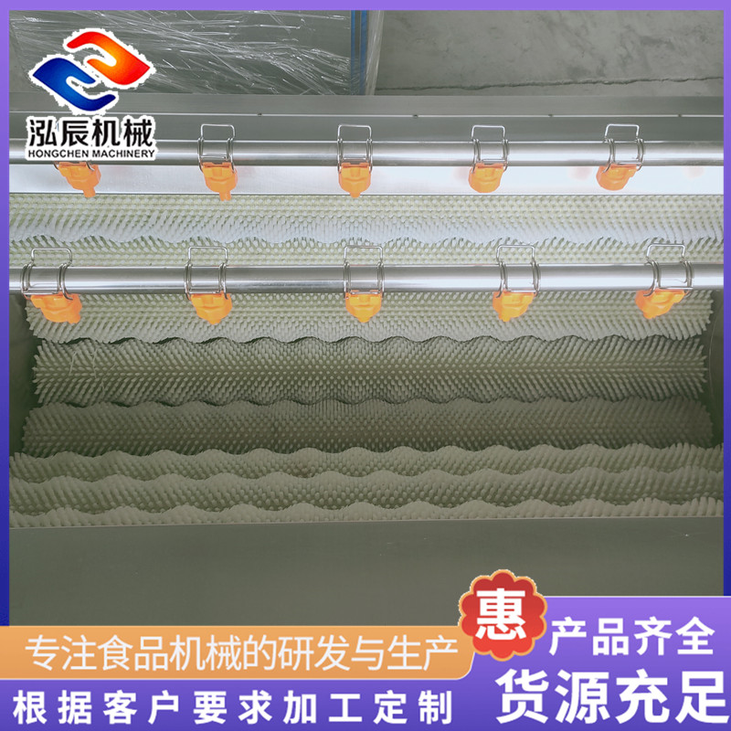 洋葱土豆清洗去皮机 胡萝卜毛辊清洗机 800型多功能去皮清洗机 泓辰机械