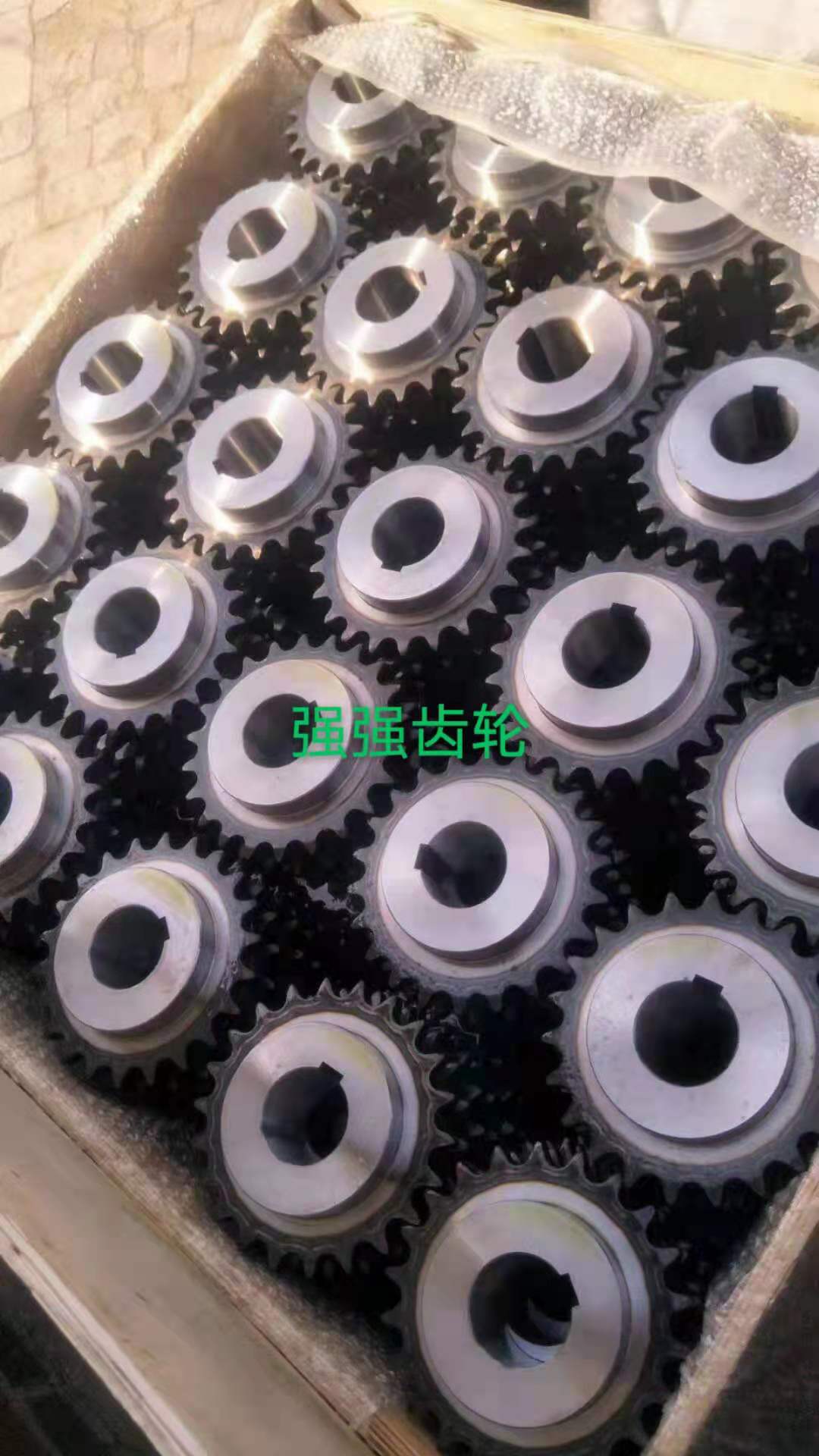 按需定制 工业齿轮 非标链轮 食品加工机械传动链轮 传动齿轮