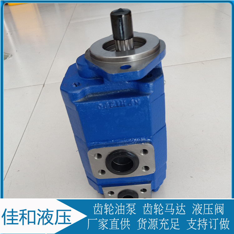 煤机用双联齿轮油泵 P124-G25085BL54/G10NKG天津泊姆克齿轮泵