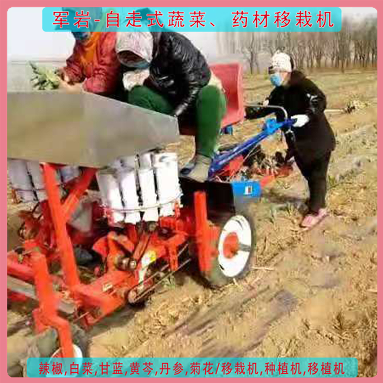 军岩自走式移栽机 厂家发货 番茄移栽机价格 易维护