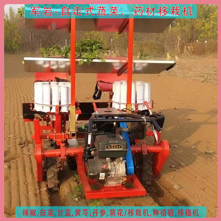 自走式移植机 厂家发货 番茄移栽机价格 质优服务